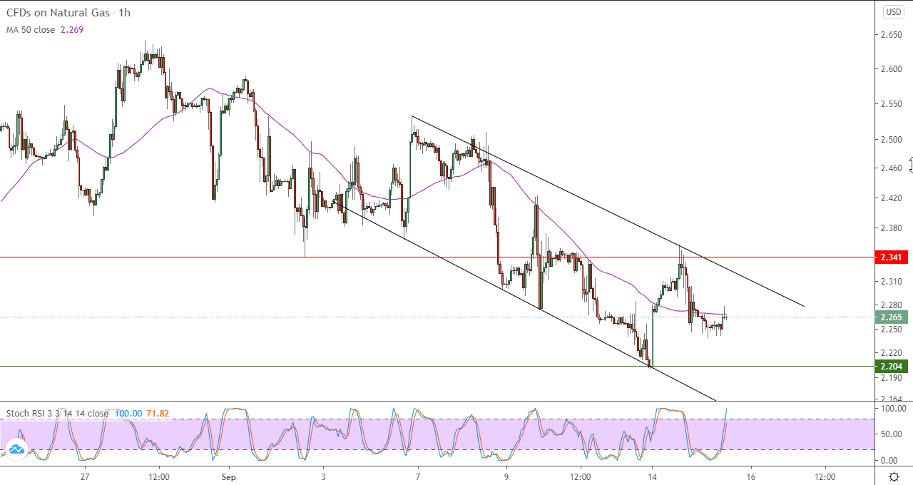 الرسم البياني اليومي للغاز الطبيعي في اطار ساعه الرسم البياني اليومي للغاز الطبيعي في اطار ساعه