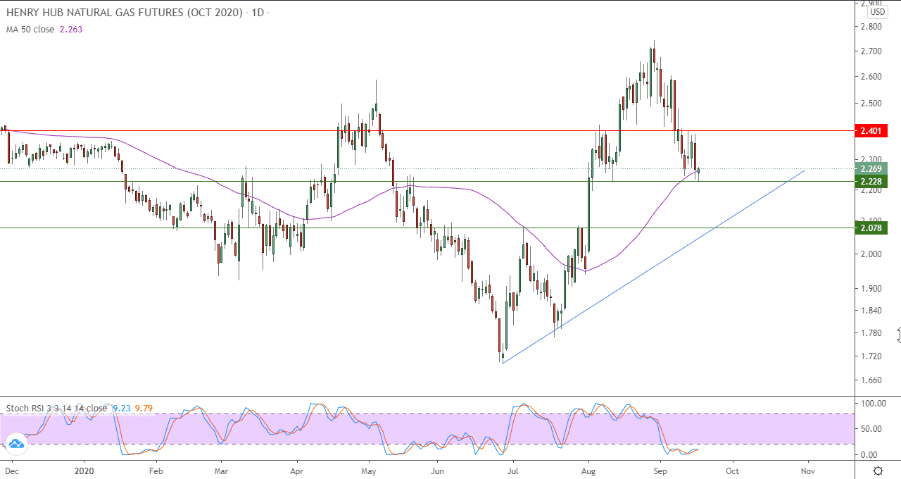 الرسم البياني اليومي للغاز الطبيعي