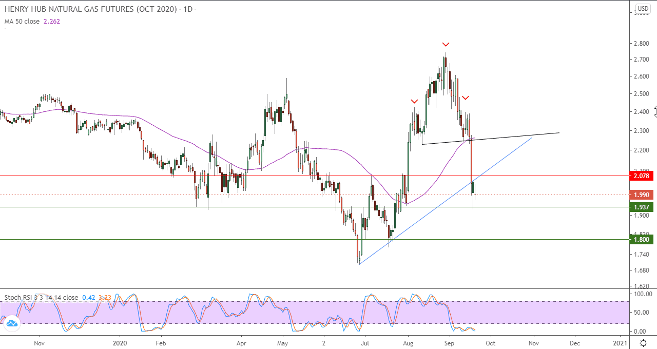 الرسم البياني اليومي للغاز الطبيعي