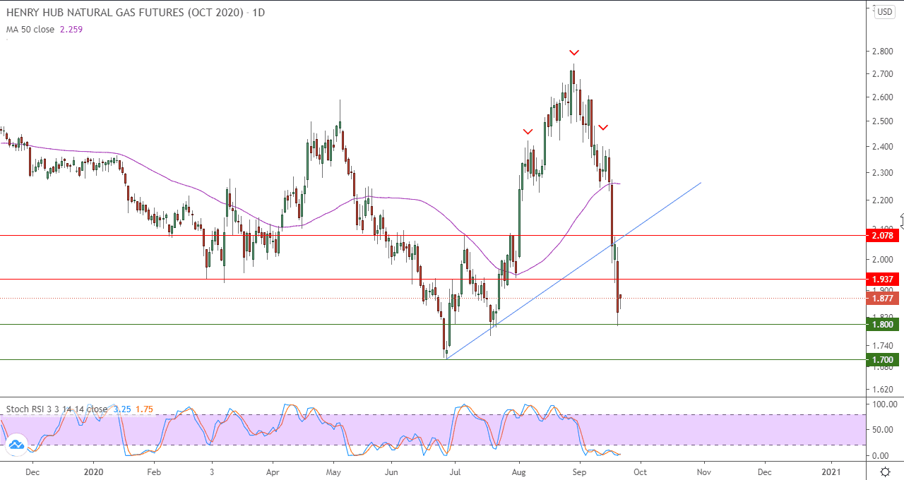 الرسم البياني اليومي للغاز الطبيعي