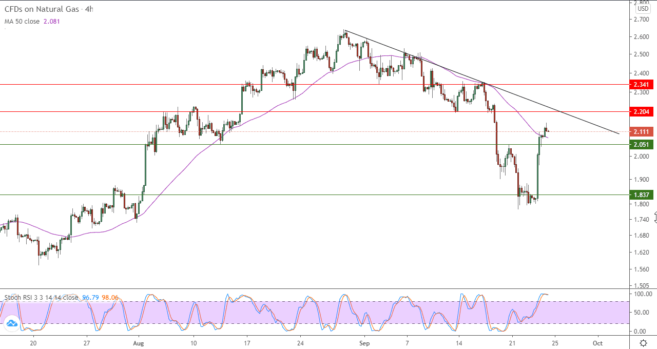 الرسم البياني اليومي للغاز الطييعي في اطار ساعه