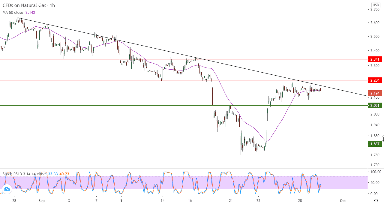 الرسم البياني للغاز الطبيعي في اطار ساعه