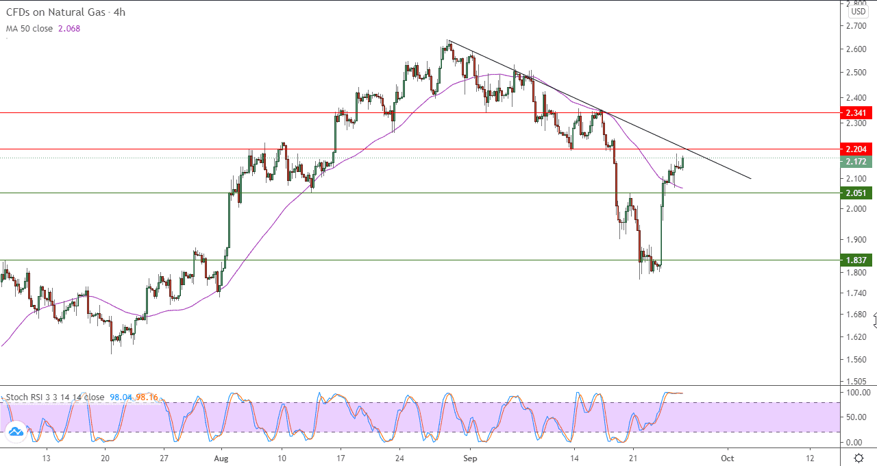 الرسم البياني للغاز الطبيعي على مدار ساعة