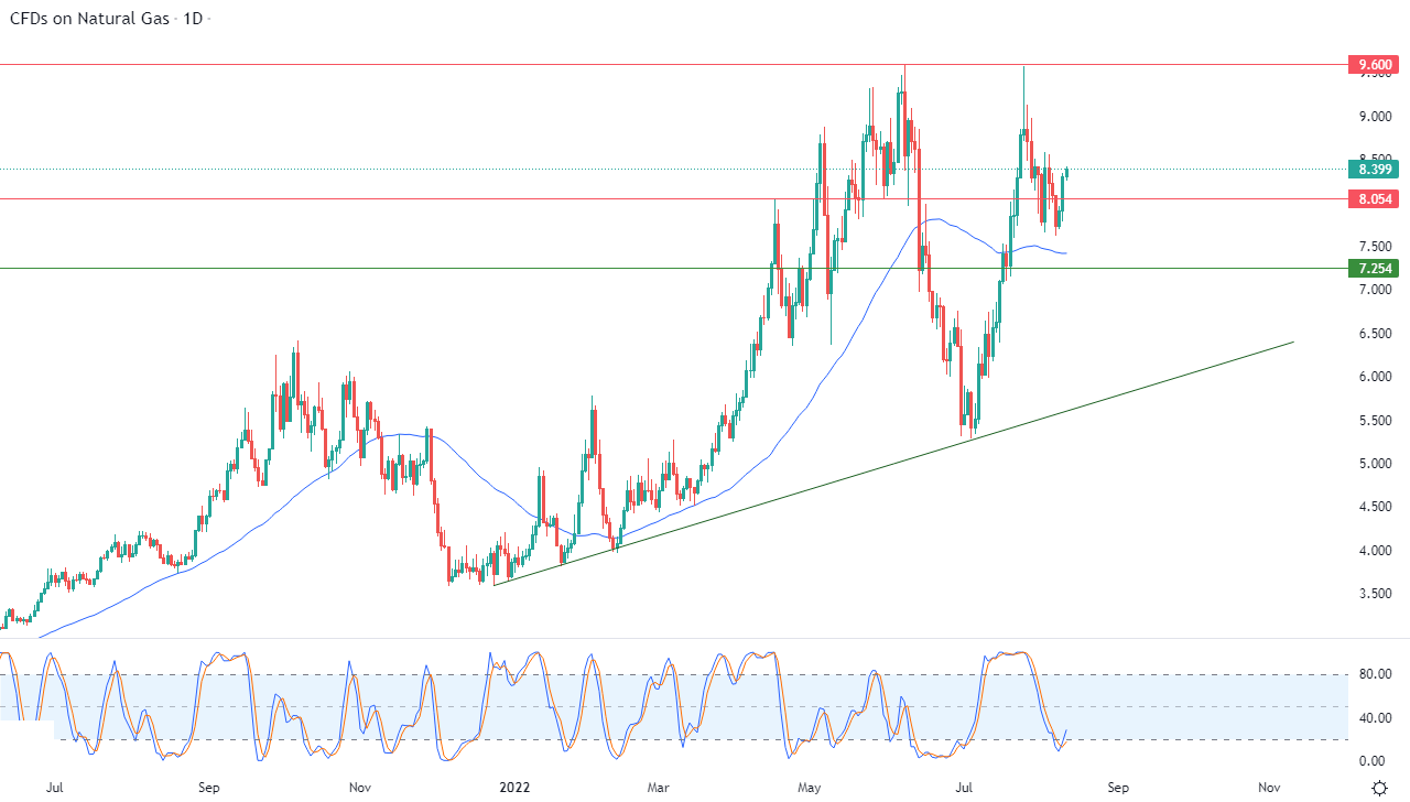 Análisis Técnico del Gas Natural