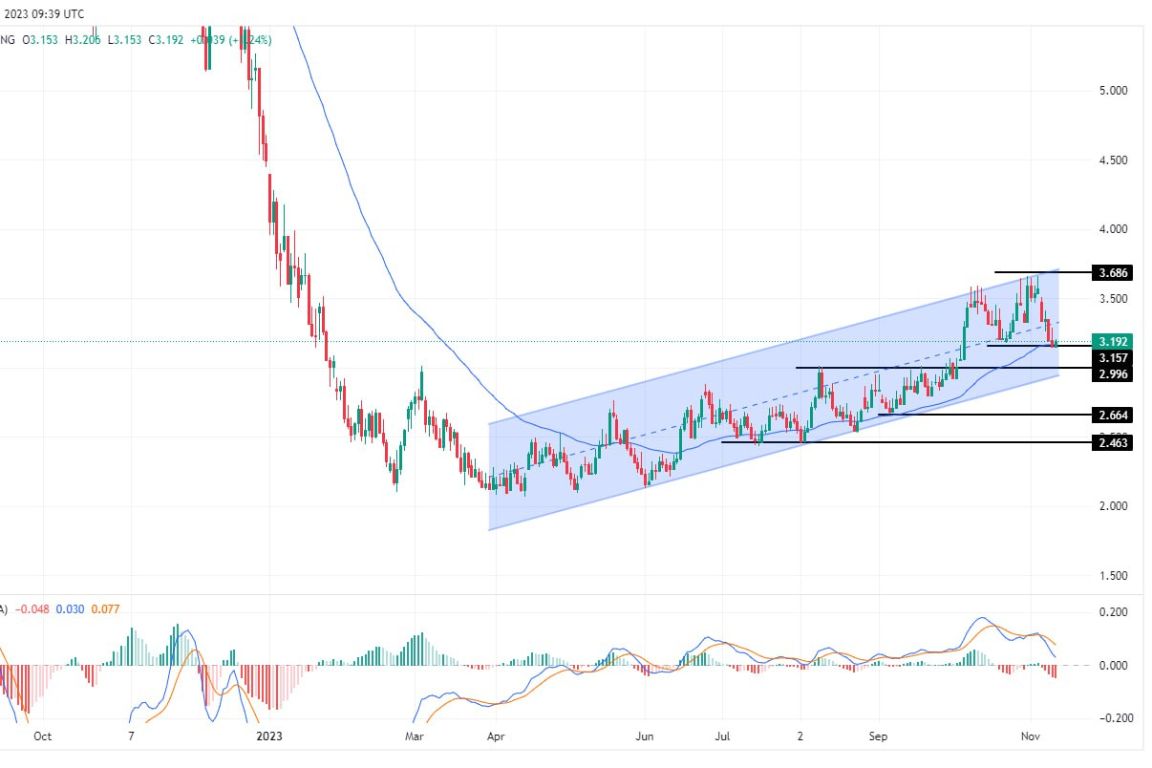 سعر الغاز الطبيعي على الإطار الزمني اليومي