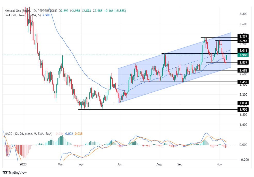 سعر الغاز الطبيعي على الإطار الزمني اليومي