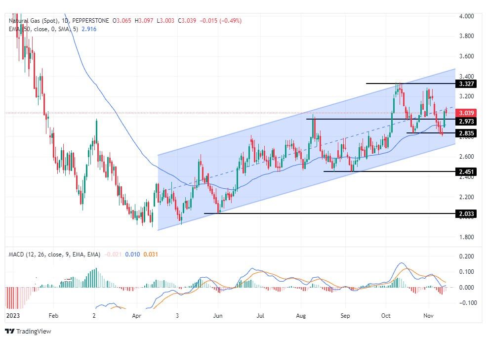سعر الغاز الطبيعي على الإطار الزمني اليومي