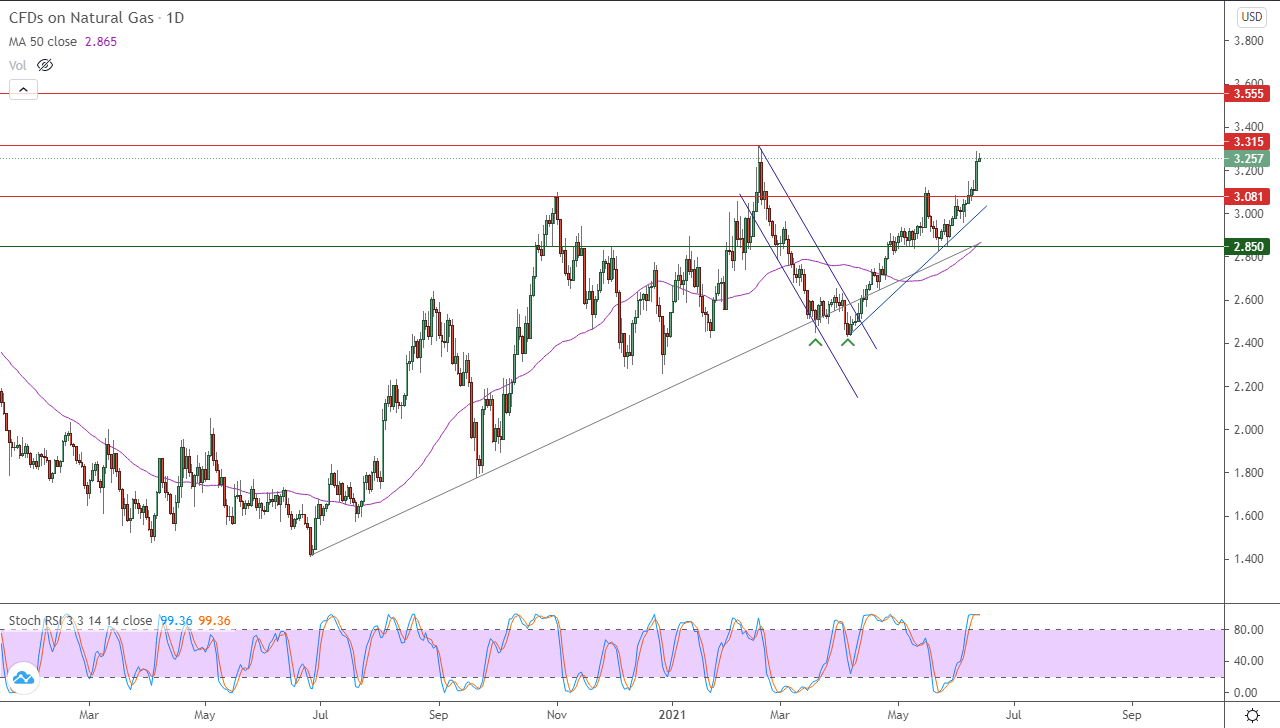 الرسم البياني اليومي لمؤشر الغاز الطبيعي