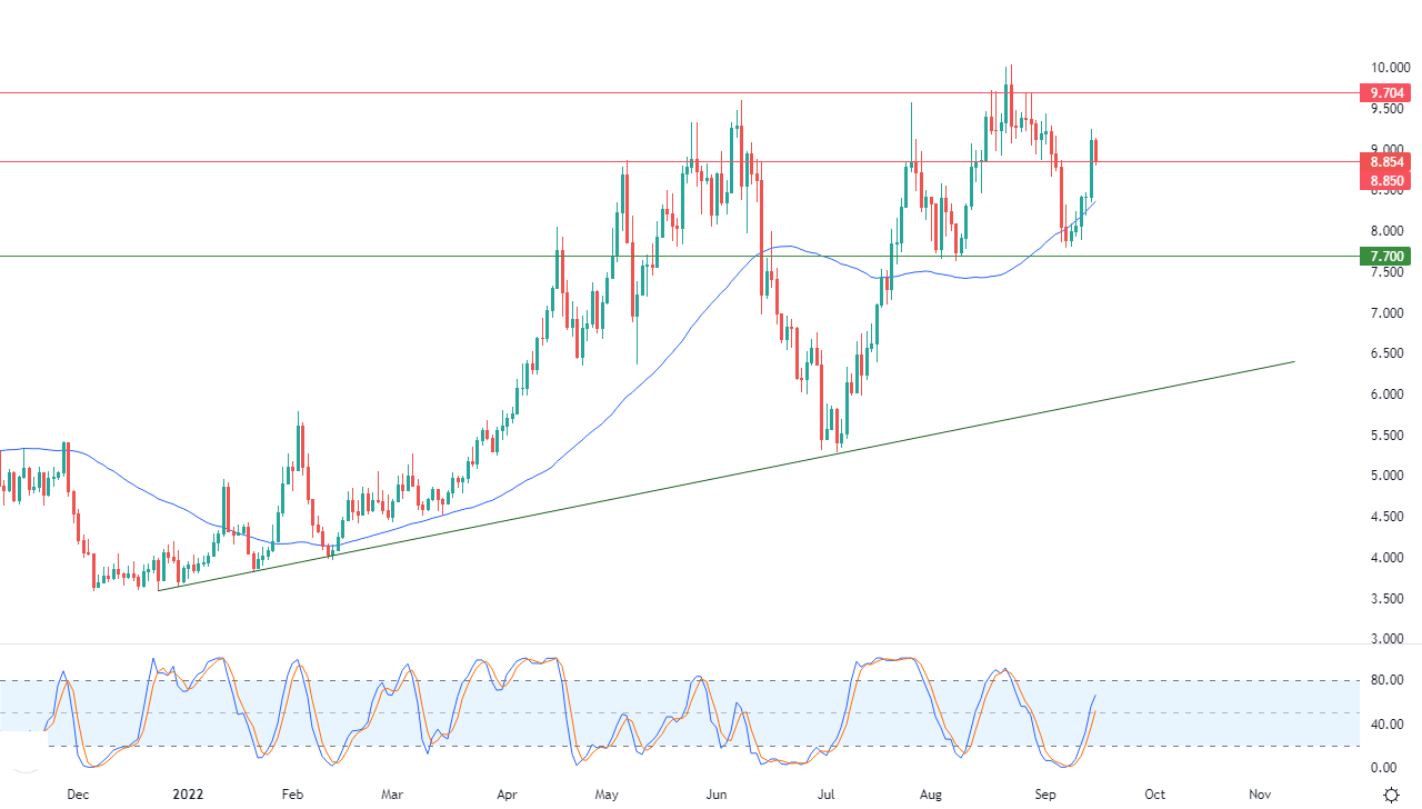 الرسم البياني اليومي للغاز الطبيعي