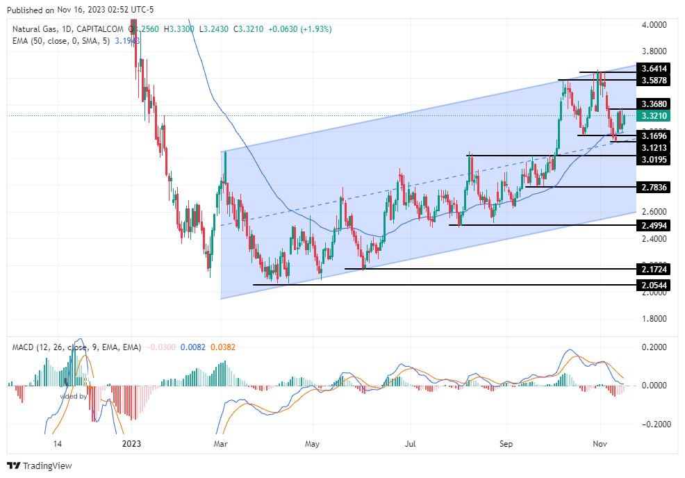 سعر الغاز الطبيعي على الإطار الزمني اليومي سعر الغاز الطبيعي على الإطار الزمني اليومي