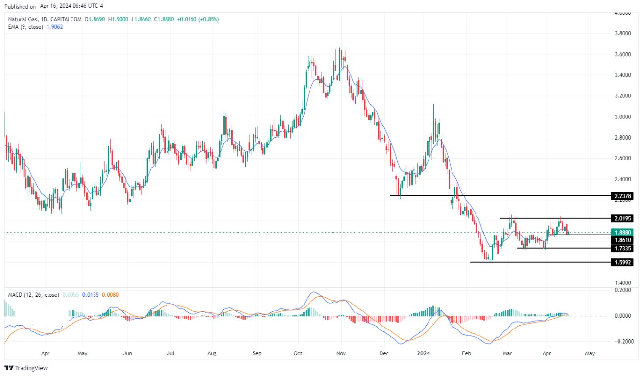 سعر الغاز الطبيعي على الإطار الزمني اليومي سعر الغاز الطبيعي على الإطار الزمني اليومي