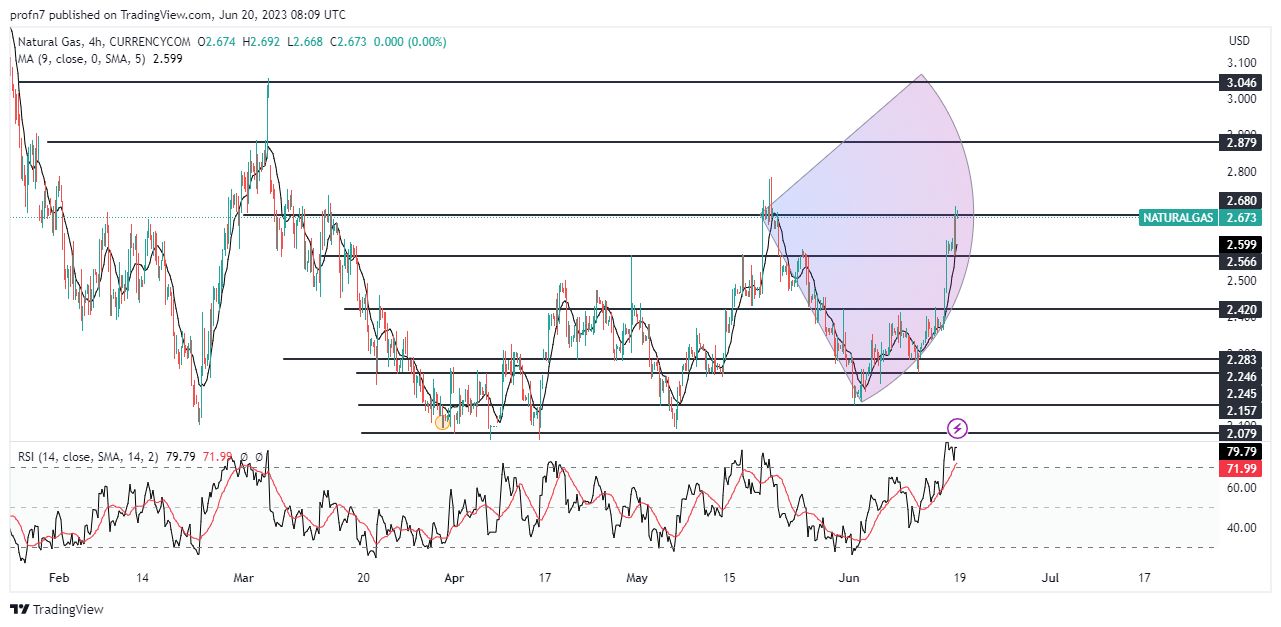 الإطار الزمني لسعر الغاز الطبيعي على مدى 4 ساعات الإطار الزمني لسعر الغاز الطبيعي على مدى 4 ساعات