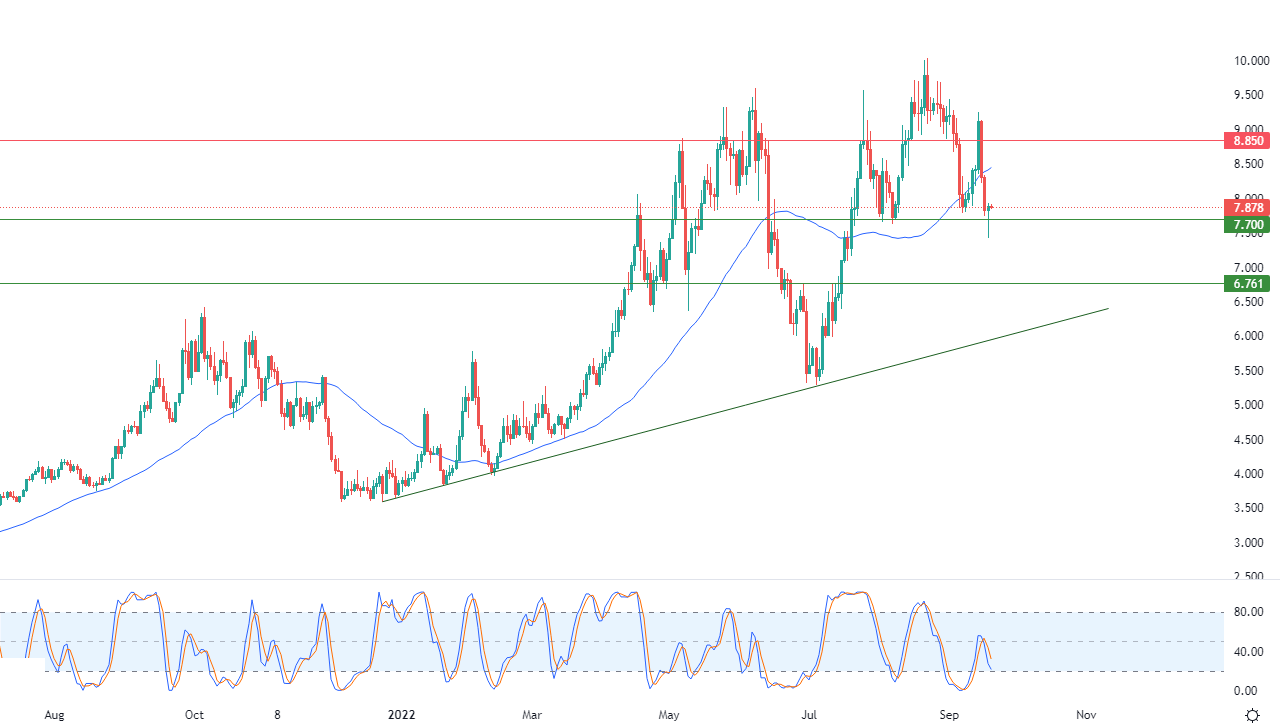 الرسم البياني اليومي للغاز الطبيعي