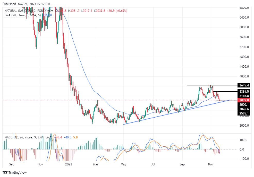 سعر الغاز الطبيعي على الإطار الزمني اليومي