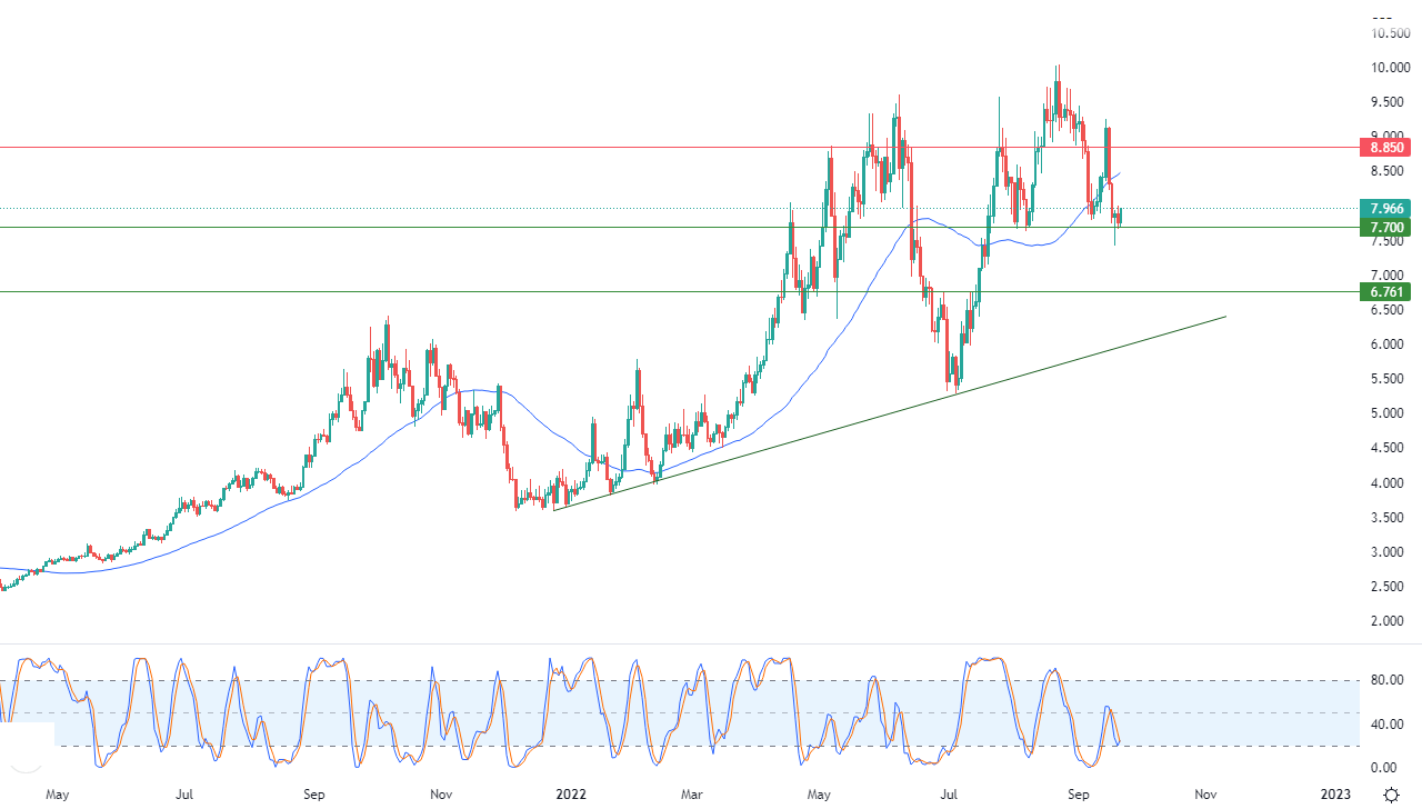 الرسم البياني اليومي للغاز الطبيعي