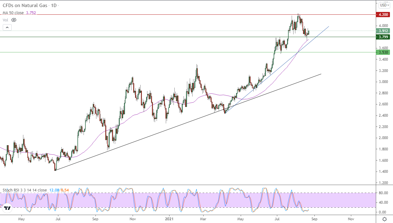 الرسم البياني اليومي للغاز الطبيعي