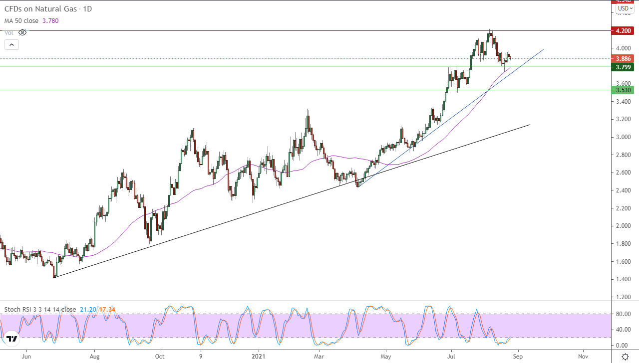 الرسم البياني اليومي للغاز الطبيعي الرسم البياني اليومي للغاز الطبيعي