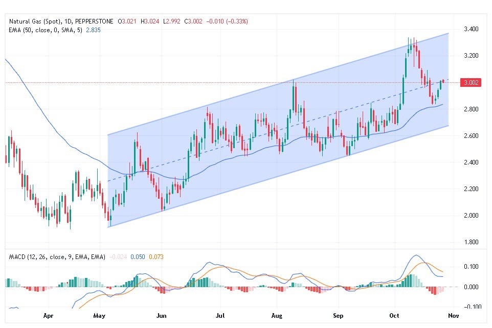سعر الغاز الطبيعي على الإطار الزمني اليومي