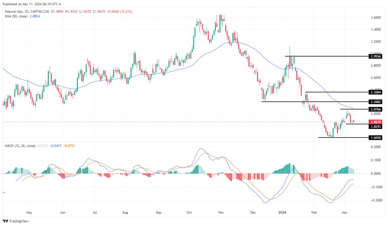 سعر الغاز الطبيعي على الإطار الزمني اليومي سعر الغاز الطبيعي على الإطار الزمني اليومي