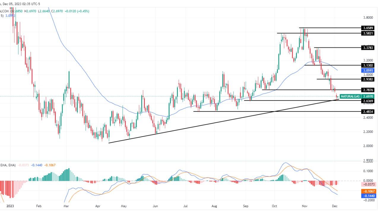 سعر الغاز الطبيعي على الإطار الزمني اليومي