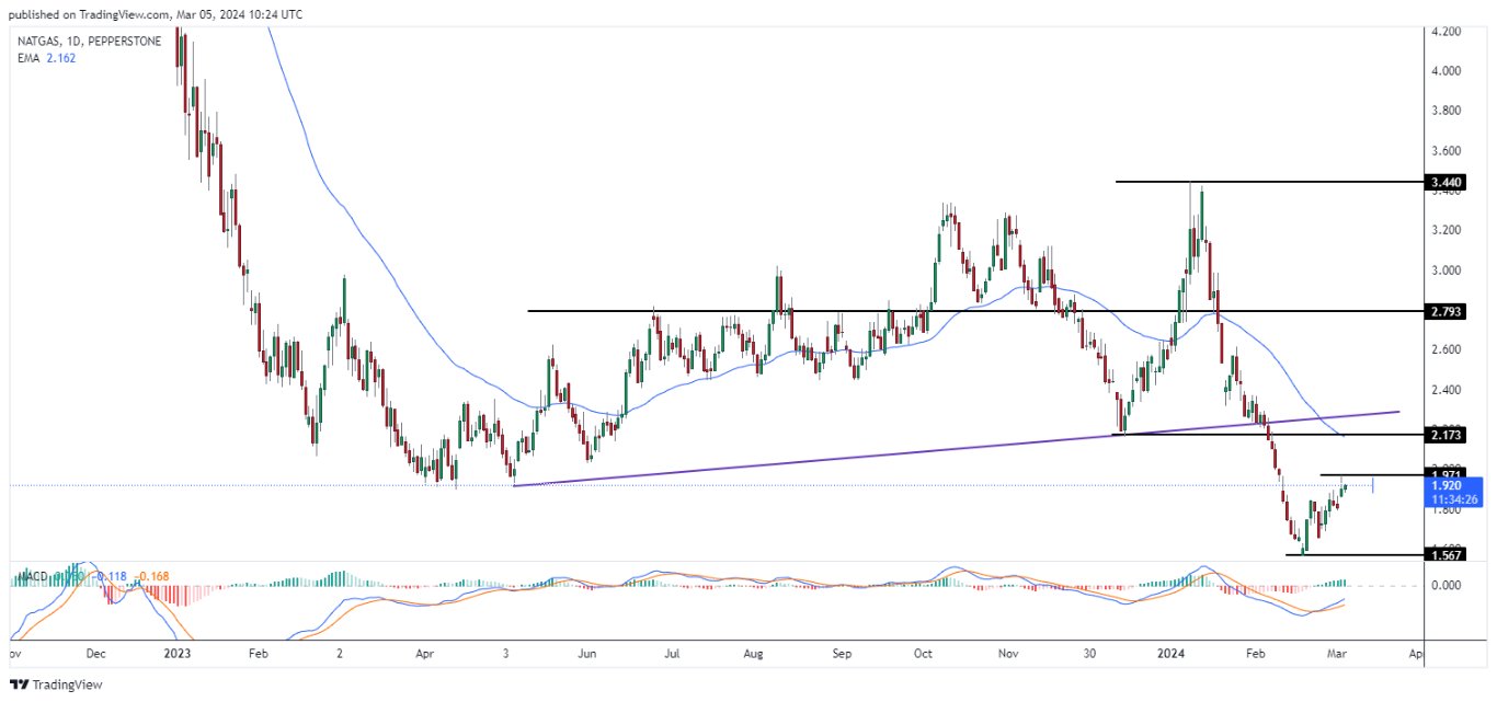 سعر الغاز الطبيعي على الإطار الزمني اليومي سعر الغاز الطبيعي على الإطار الزمني اليومي