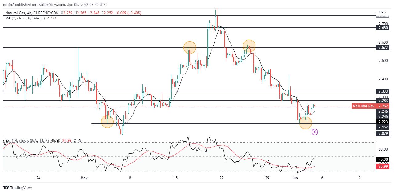 الرسم البياني اليومي للغاز الطبيعي الرسم البياني اليومي للغاز الطبيعي