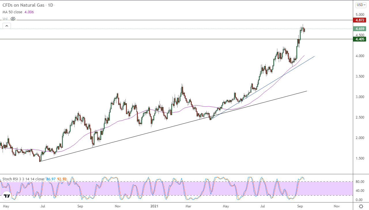 الرسم البياني اليومي للغاز الطبيعي الرسم البياني اليومي للغاز الطبيعي