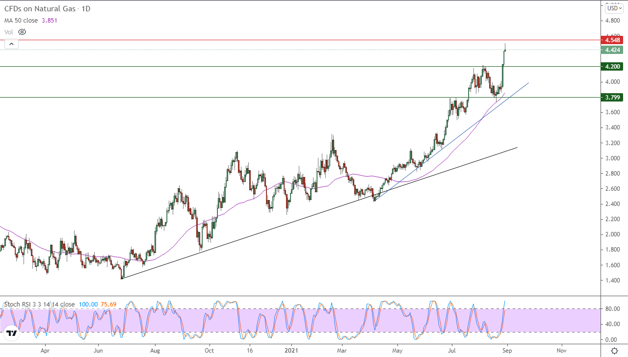 الرسم البياني اليومي للغاز الطبيعي الرسم البياني اليومي للغاز الطبيعي