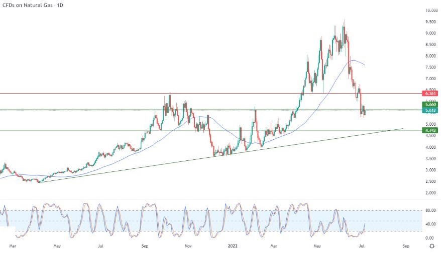 Análisis Técnico del Gas Natural