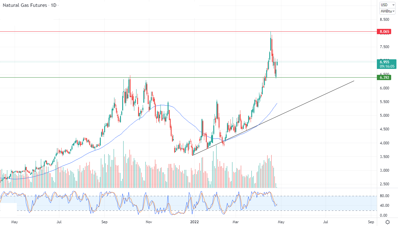 الرسم البياني اليومي للغاز الطبيعي