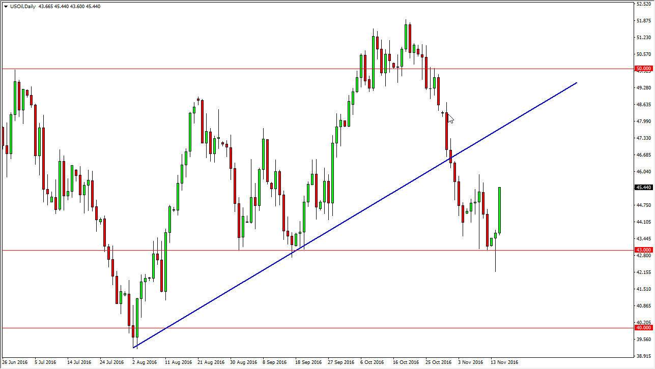 الرسم البياني اليومي للنفط الخام