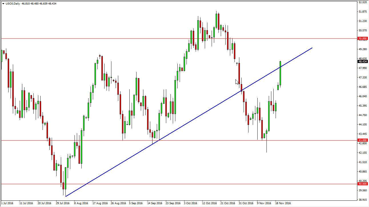 الرسم البياني اليومي للنفط الخام