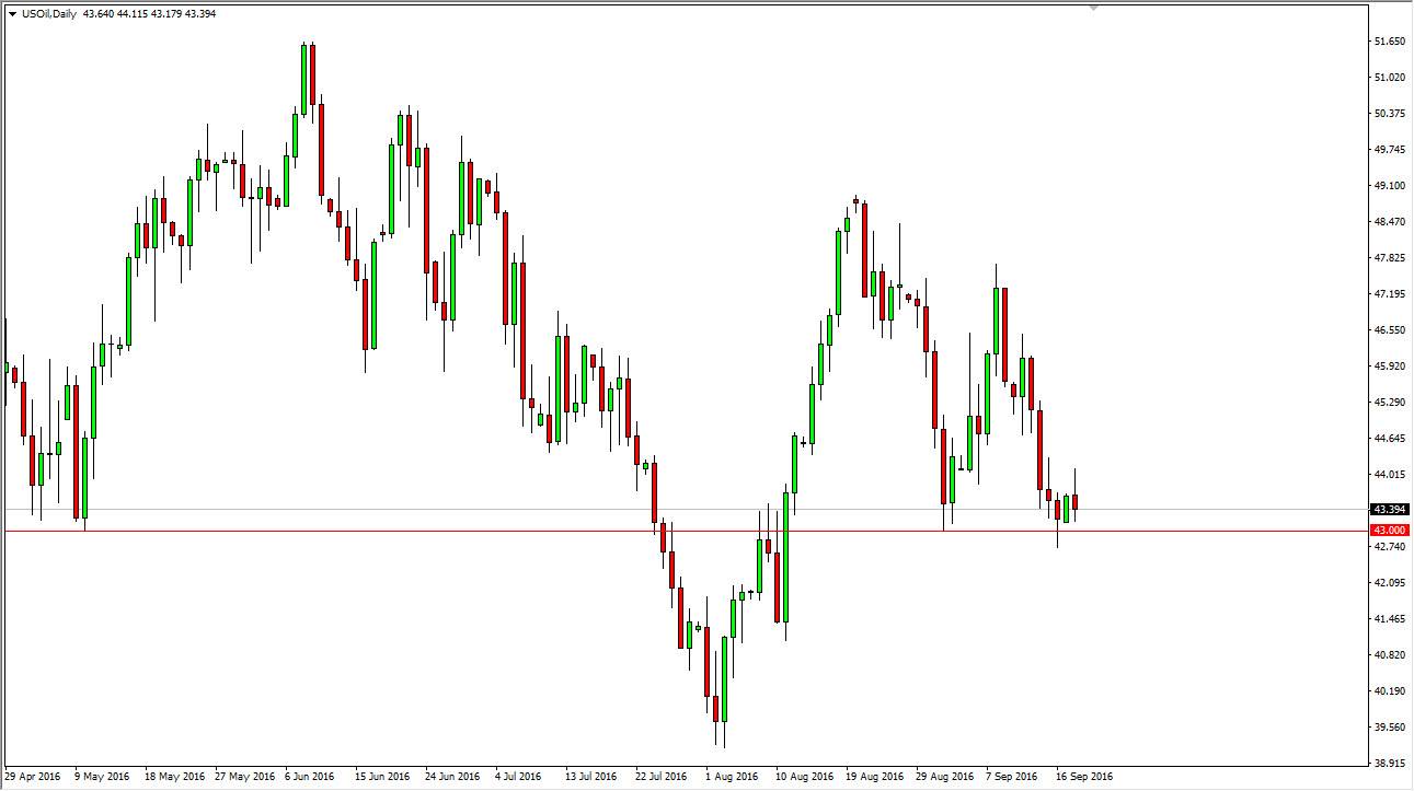 Petrol Grafik - 20 Eylül 2016