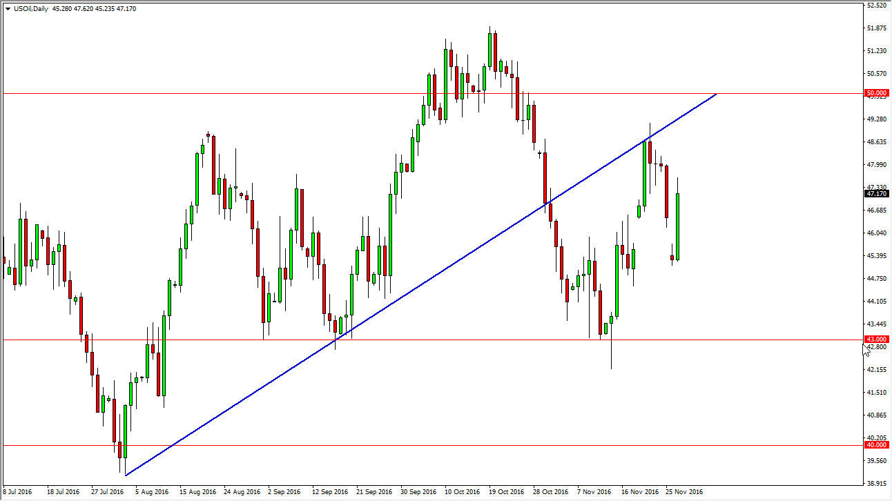 الرسم البياني اليومي للنفط الخام
