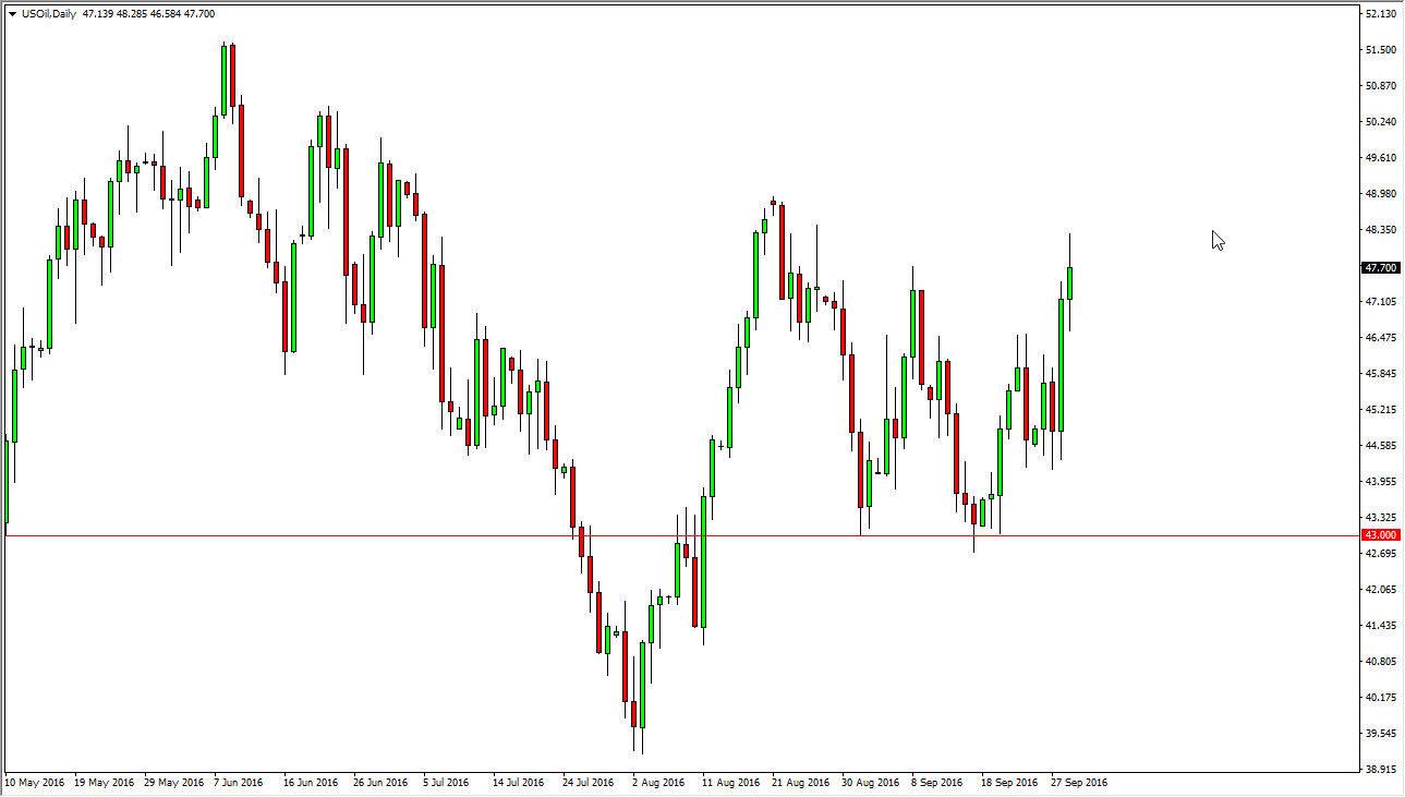 الرسم البياني اليومي للنفط الخام