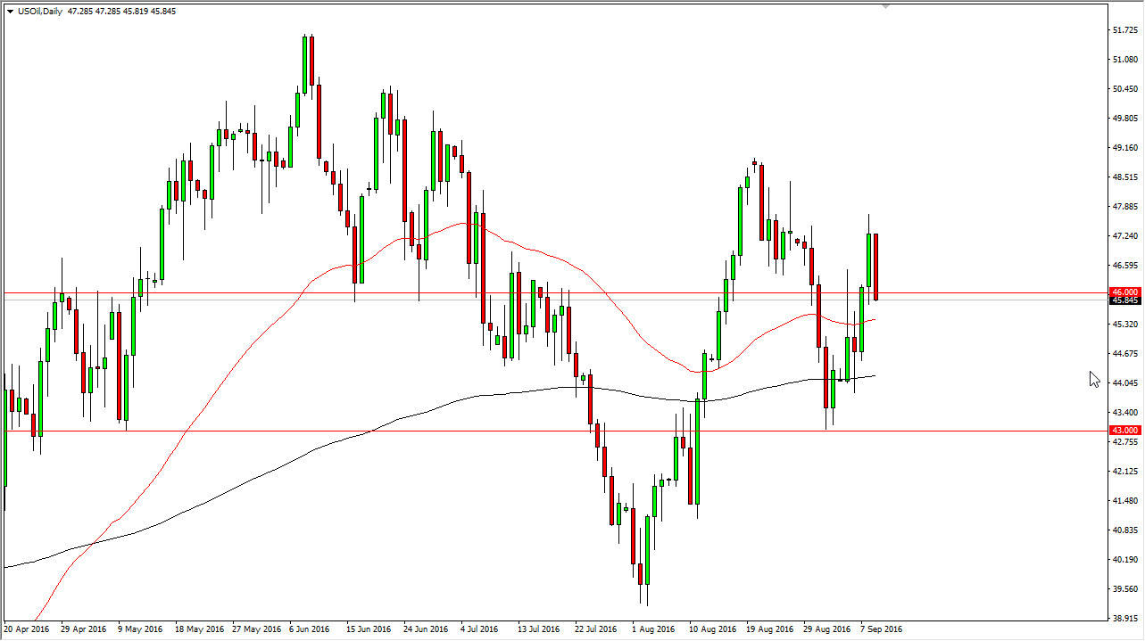 v الرسم البياني اليومي للنفط الخام