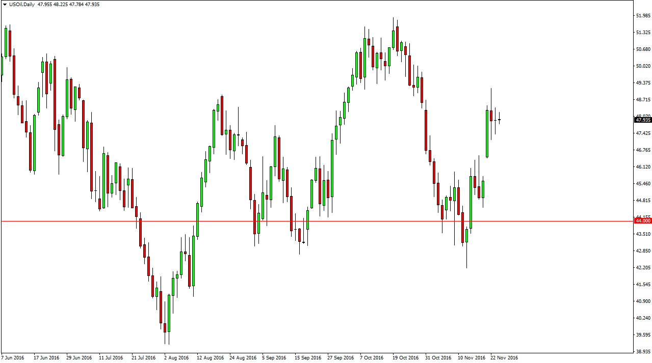 الرسم البياني اليومي للنفط الخام