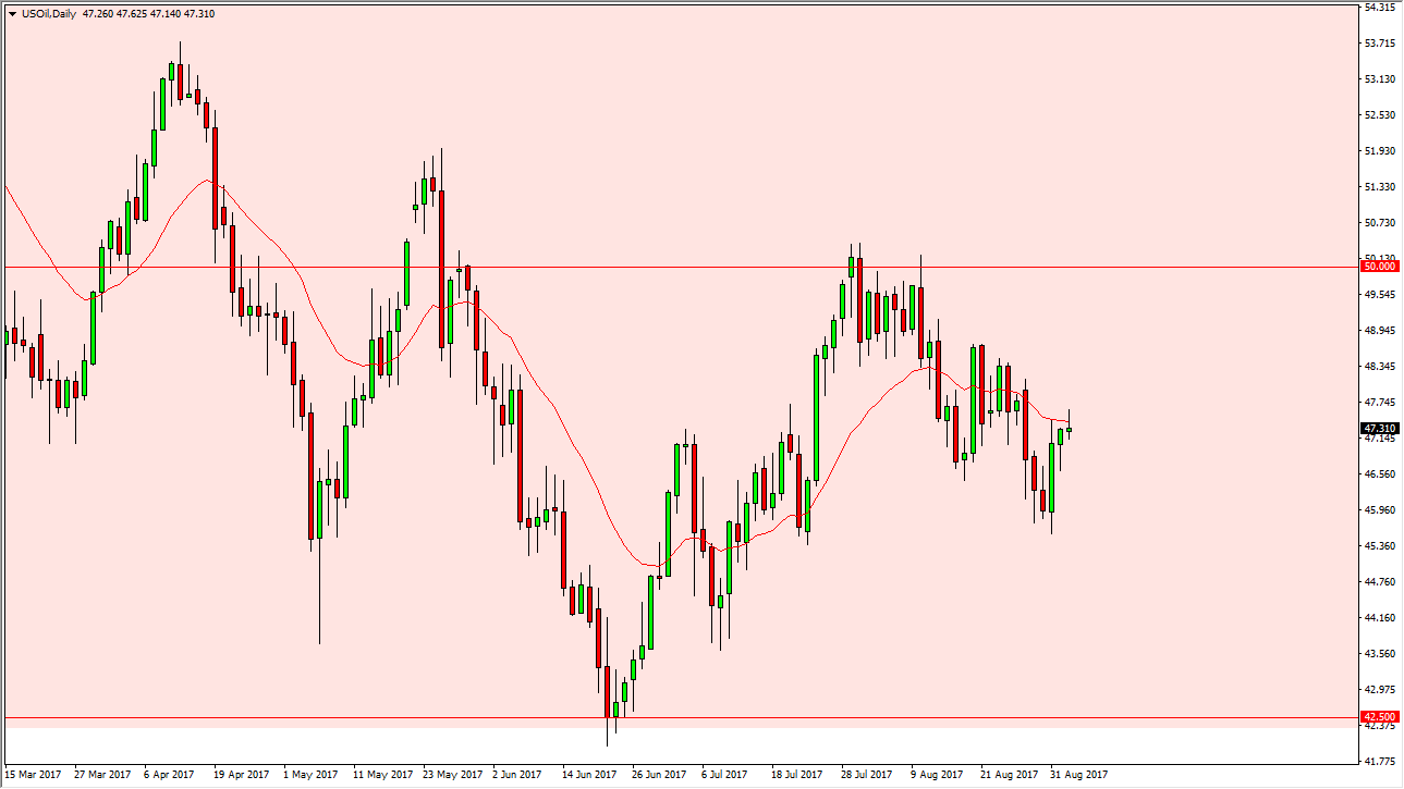 الرسم البياني اليومي للنفط الخام الرسم البياني اليومي للنفط الخام