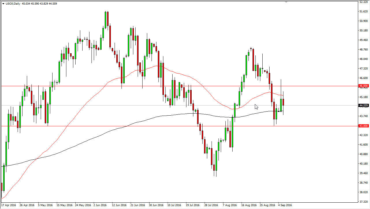 الرسم البياني اليومي للنفط الخام الرسم البياني اليومي للنفط الخام