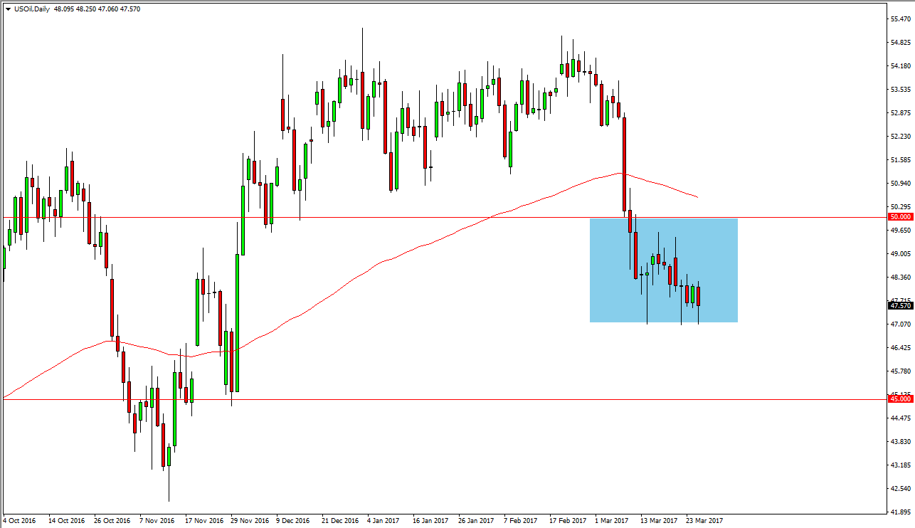 الرسم البياني اليومي للنفط الخام الرسم البياني اليومي للنفط الخام