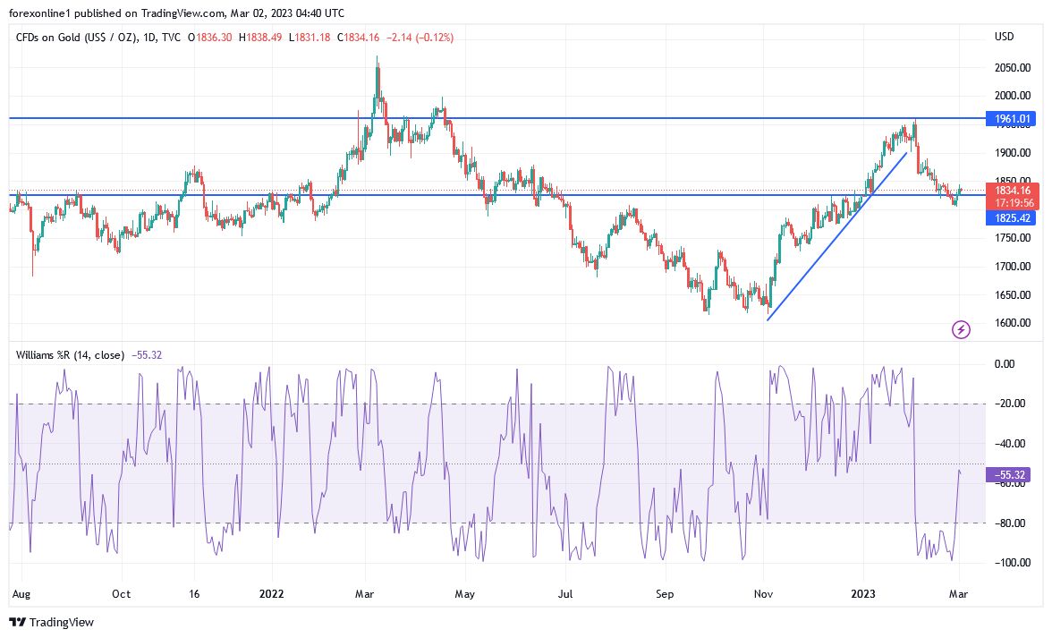 Análisis Técnico del Oro Análisis Técnico del Oro