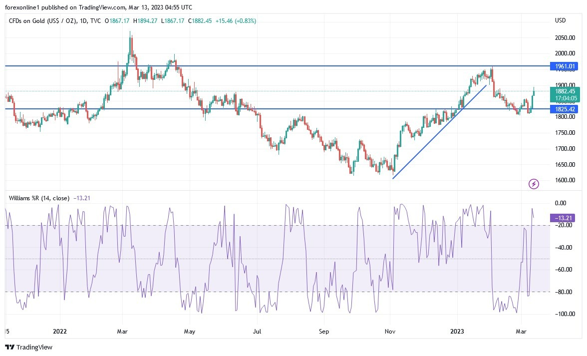 Análisis Técnico del Oro