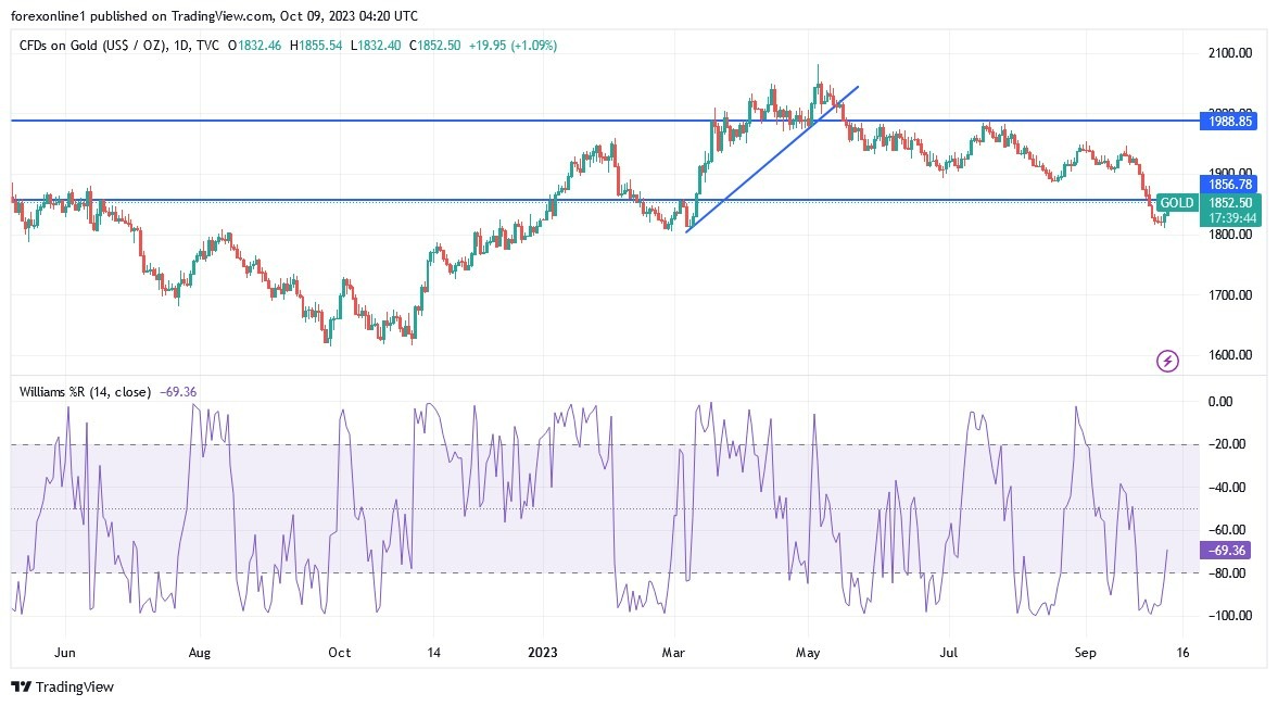 Gráfico del Análisis Técnico XAU/USD Gráfico del Análisis Técnico XAU/USD