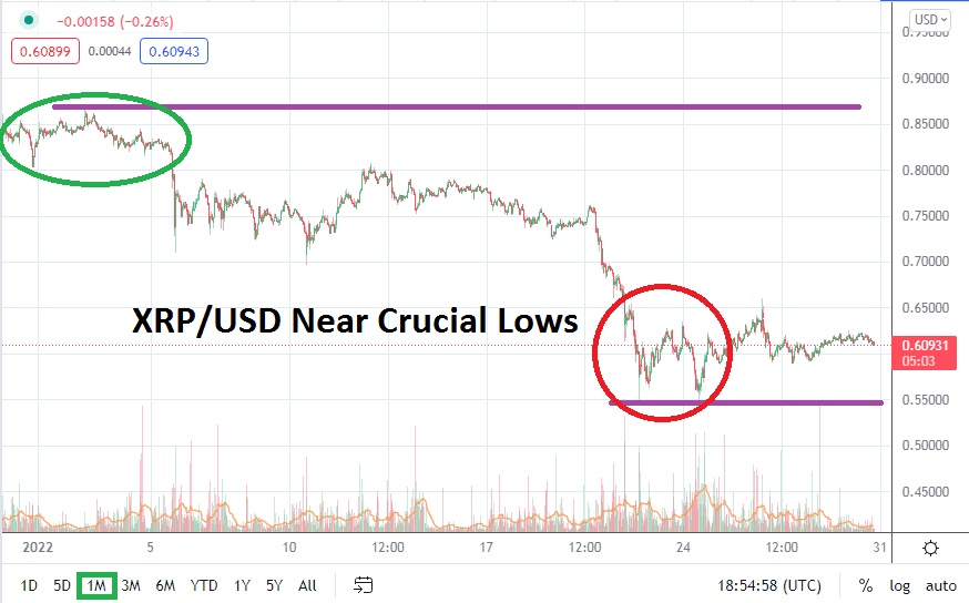 XRP/USD February 2022 Monthly XRP/USD February 2022 Monthly