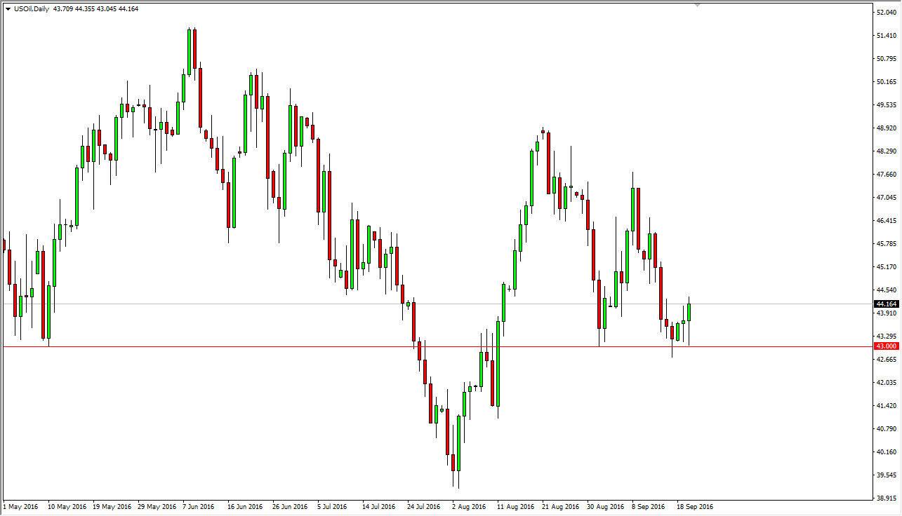 الرسم البياني اليومي للنفط الخام