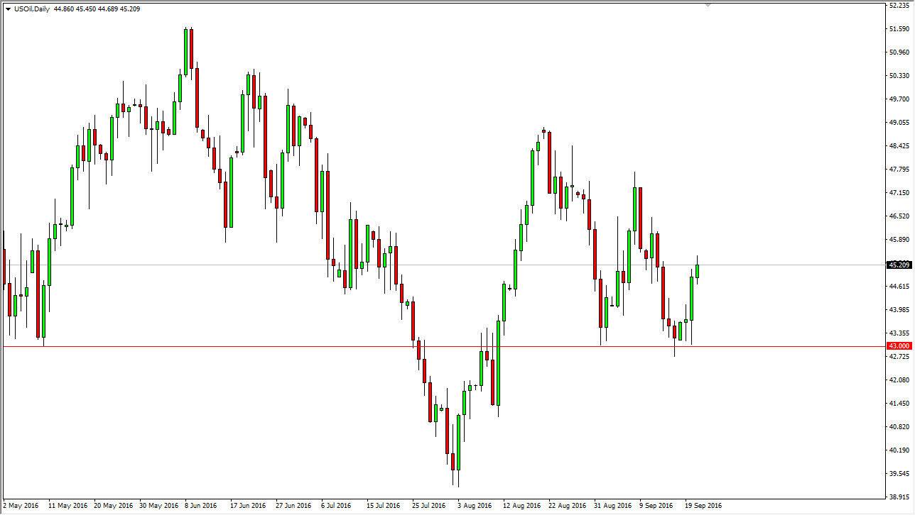الرسم البياني اليومي للنفط الخام
