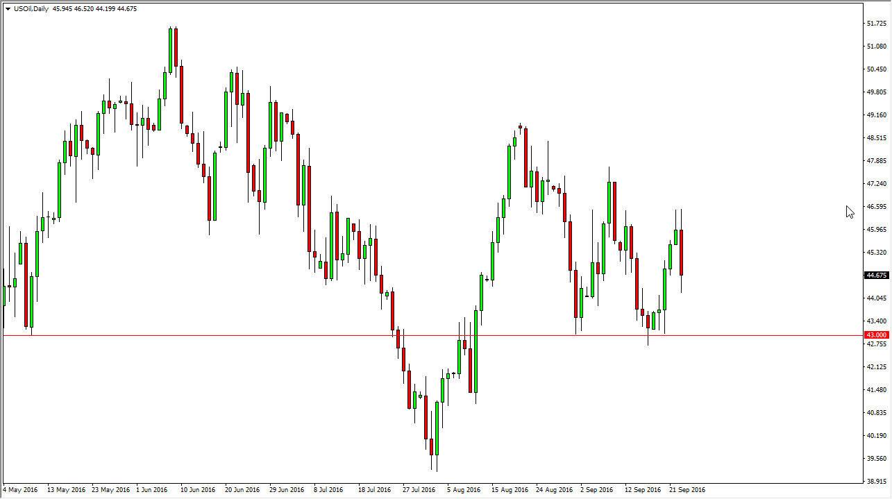 الرسم البياني اليومي للنفط الخام
