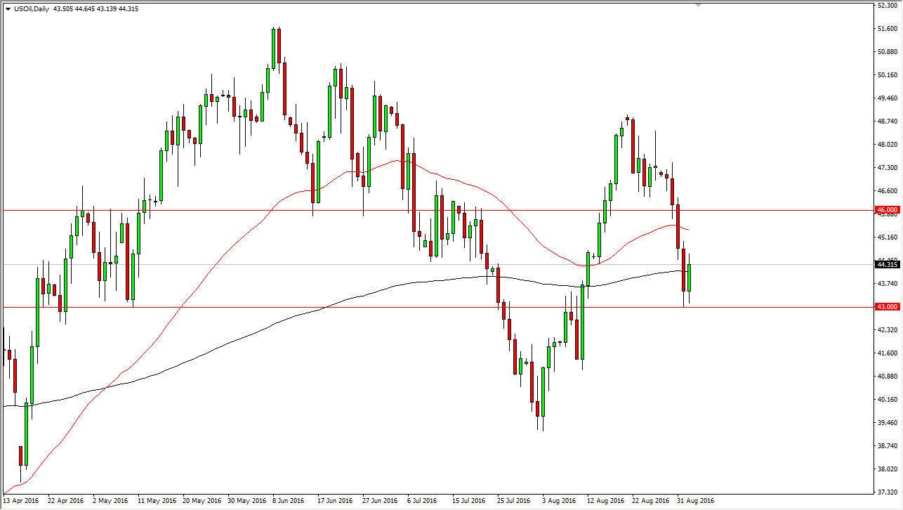 الرسم البياني اليومي للنفط الخام الرسم البياني اليومي للنفط الخام