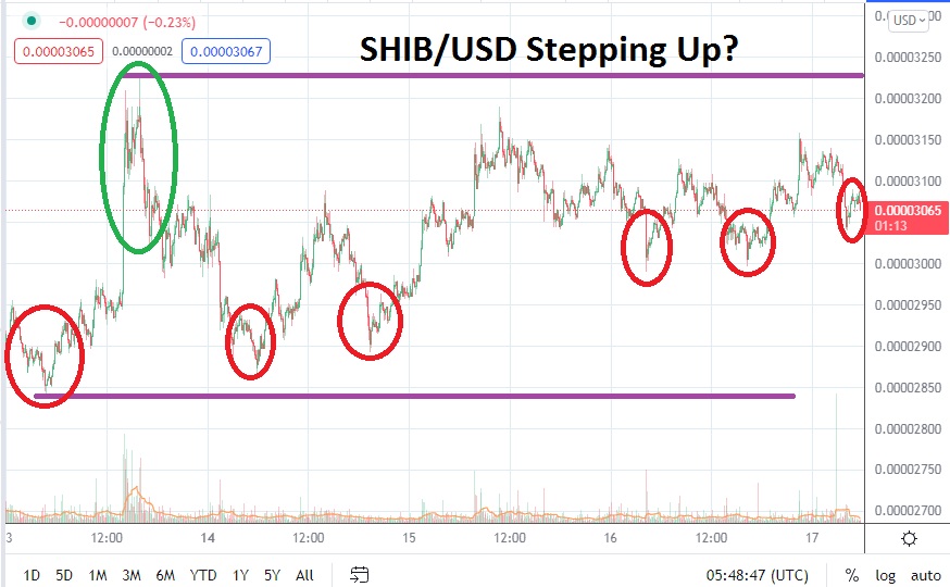 SHIB/USD SHIB/USD