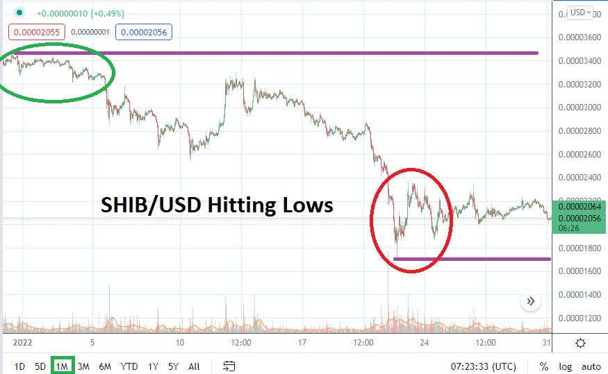 SHIB/USD February 2022 Monthly SHIB/USD February 2022 Monthly